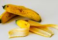 Jangan Dibuang, Sisa Bahan Dapur Ini Bisa Bikin Tanaman Subur, Loh!