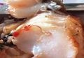 Menjijikan, Wanita Ini Temukan Cacing Parasit di Ikan yang Sedang Dimakannya di Restoran Terkenal