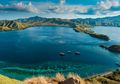 Padang Rumput Pulau Komodo Terbakar, Rokok Diduga Sebagai Penyebabnya