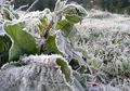 Capai 0 Derajat Celcius, Tempat di Indonesia Ini Juga Diselimuti Es Layaknya Dieng dan Eropa Saat Musim Dingin