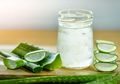 Cegah Kanker Hingga Kurangi Kolesterol dengan Rutin Minum Campuran Jus Lidah Buaya dan Bawang Putih, Begini Cara Membuatnya!