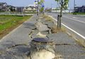 Ini 5 Gempa Terbesar yang Terjadi di Indonesia dalam 5 Tahun Terakhir