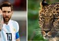 Ini Jadinya Jika 5 Bintang Sepakbola Diibaratkan Menjadi Hewan Buas