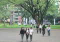 UPH Manfaatkan Solusi Microsoft untuk Percepat Transformasi Digital