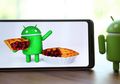 Jadwal Update Android Pie untuk Ponsel Samsung Galaxy Tahun Depan