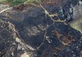 Kebakaran di Irlandia Ungkap Pesan Tersembunyi dari Perang Dunia II