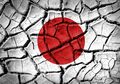 Cara Jepang Bertahan Dari Serangan Gempa Bumi yang Kerap Terjadi