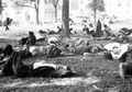 Gelombang Panas 1911 yang Mematikan dan Membuat Gila Banyak Orang