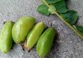 Belimbing Wuluh Paling Asam se Jagat, Tapi 7 Khasiatnya Kalahkan Belimbing Lainnya