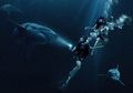 7 Film Hollywood Tentang Hiu Terbaik Sepanjang Masa. Seram Banget!