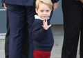 Anak Laki-Laki Ini Dibilang Sangat Mirip dengan Pangeran George, Seberapa Mirip Dirinya?