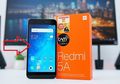 4 Keluhan yang Sering Dialami oleh Pengguna Xiaomi, Apakah Anda Juga Merasakannya?