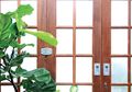 Yuk, Coba Sentuhan Urban Jungle di Ruangan Agar Bernuansa Alami