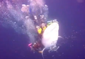 Viral! Video Penyelam Tunggangi Hiu Paus, dan Reaksi Susi Pudjiastuti