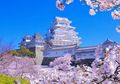 Tak Sempat Liburan Akhir Tahun Ke Jepang? Mungkin 3 Taman Sakura di Thailand Ini Bisa Jadi Alternatif Berlibur Nanti!