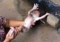 Tega, Bayi Baru Lahir Dibuang di Saluran Pembuangan dengan Tali Pusar yang Masih Menjerat Lehernya!