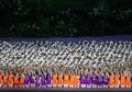 Ini Dia Rahasia Kecepatan "Ganti Baju" Tarian Pembukaan Asian Games