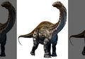 Berkali-kali Diteliti, Jejak Kaki Dinosaurus Usia 170 Juta Tahun Ini Malah Ditemukan secara Kebetulan