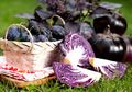 Bisa Bunuh Sel Kanker! Inilah 6 Manfaat Buah dan Sayur Warna Ungu