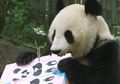 "Lukisan" dari Panda Artsy Ini Bakal Dijual dengan Harga 560 US Dolar