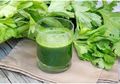Suka Jus Seledri? Ini Dia 5 Manfaat yang Bisa Kita Dapatkan!
