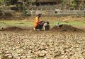 Alami Krisis Air karena Kekeringan, Warga Gunungkidul Rela Menunggu Lama Demi Air Keruh Sisa Telaga