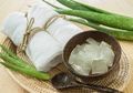 Ini yang Perlu Dilakukan Agar Manfaat Lidah Buaya Lebih Maksimal