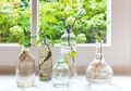 8 Inspirasi Untuk Buat Taman Mini Dalam Rumah, Mudah dan Murah!