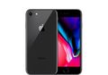 Apple Umumkan Temuan Kecacatan di iPhone 8, Punyamu Salah Satunya?
