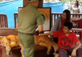 Demi Sebuah Foto, Hewan Buas di Taman Safari Diduga Dibius, Benarkah?