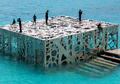 Resort Mewah Ini Siapkan Museum Bawah Laut, Siap-siap Terpukau!