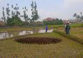 Muncul 'Sinkhole di Sukabumi, Ini 5 'Sinkhole' Paling Terkenal di Dunia, Ada yang Sedalam 640 Meter!