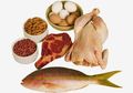 Penting! Begini Cara Mudah Menakar Asupan Protein Harian Bagi Tubuh