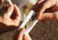 Polisi Bongkar Kasus Peredaran 80 kg Ganja di Kampus: Ini yang Terjadi pada Tubuh Jika Konsumsi Ganja