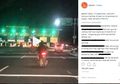 Video Sejumlah Pemotor Lewat Jalan Tol Jadi Viral, Ini Jawaban Jasa Marga