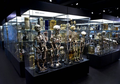 Bayi Bermata Satu Hingga Tengkorak Mirip Alien, Koleksi Museum Vrolik