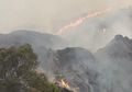 Lahan Dan Hutan di Gunung Ciremai Terbakar, Bagaimana Kondisinya?