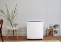 Ringankan Penyakit yang Sempat Diidap Rina Gunawan, Simak 3 Pertimbangan Sebelum Beli Air Purifier yang Jarang Diketahui!