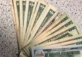 Kembalikan Dompet Berisi Puluhan Ribu Dolar, Pria Jujur Ini Malah Dapat Hadiah Tak Terduga!