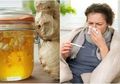Sedang Terserang Demam dan Flu? Sebelum Kunjungi Dokter, Coba Resep Rumahan Ini!