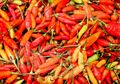 Wow! Jelang Puasa, Harga Cabai Rawit di Provinsi Ini Naik Jadi Rp90.000 per Kilogram