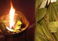 Coba Bakar Daun Salam Dalam Ruangan Selama 10 Menit, Rasakan Sensasi yang Berbeda Ini dalam Diri Anda