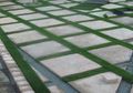 4 Cara Basmi Lumut di Paving Block, Hanya Pakai Bahan Alami