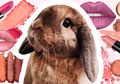 5 Brand Makeup Drugstore yang Cruelty Free Cocok untuk Para Pecinta Binatang