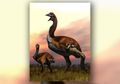 Berukuran Seperti Dinosaurus, Inilah Spesies Burung Terbesar di Dunia
