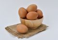 Ajaib, Oleskan Kuning Telur di Rambut, Ini yang Akan Terjadi!