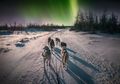 Lihat Aurora Hingga Naik Jetski Salju, Ini Keseruan Berlibur di Skandinavia