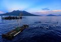 Lika-liku Nelayan Maluku Utara yang Tangkap Ikan dengan Tradisi