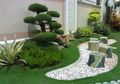 Rumput Bak Permadani Hijau di Halaman, Kepoin Ini Sebelum Memakainya!