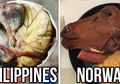 8 Makanan Yang Dianggap Lezat di Berbagai Negara, Padahal Terlihat Aneh